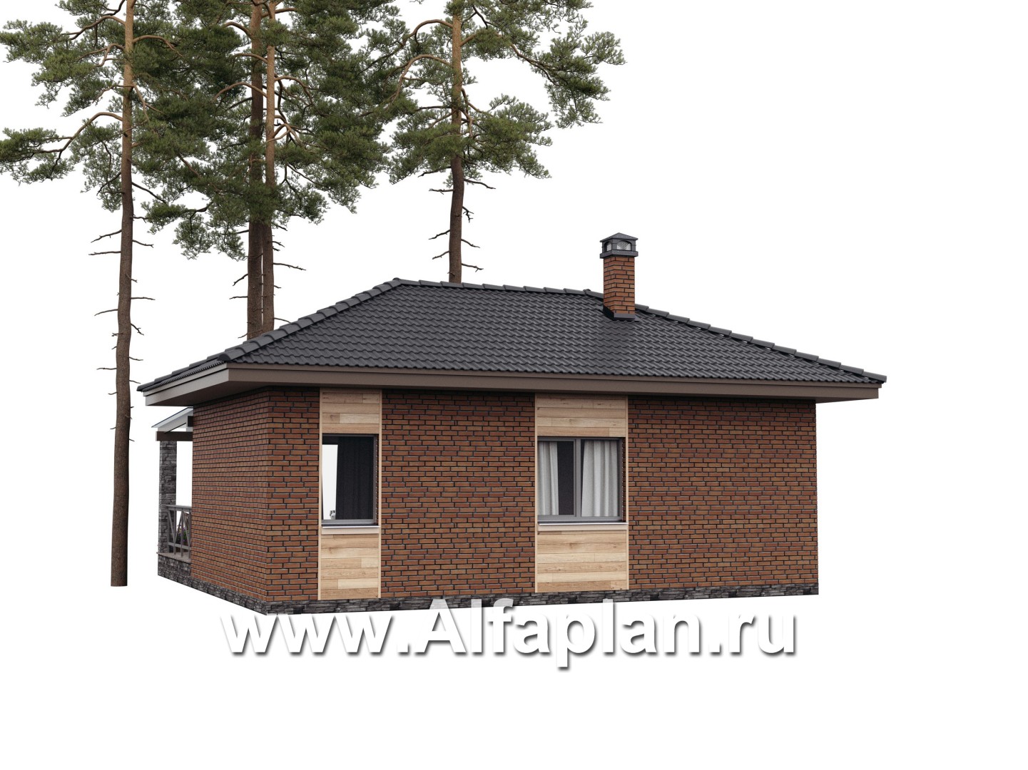 Проект бани, каркасный дом, с большой террасой - дизайн дома №2